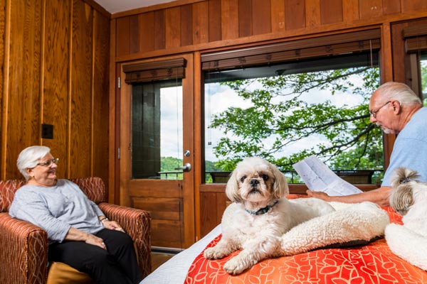 Pet Friendly Room at Skyland in Shenandoah National Park